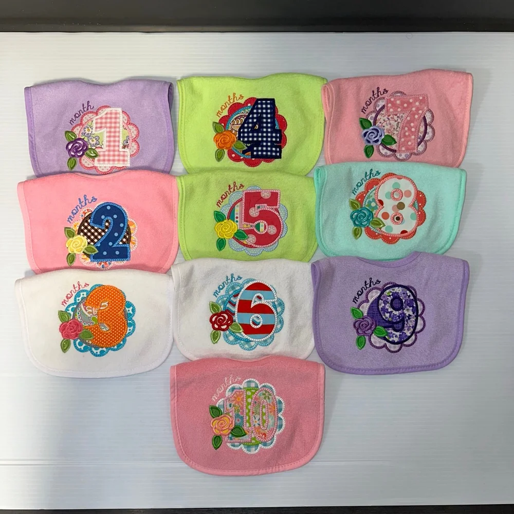 Lot of 10 Baby Girl Multicolor Embroidered Monthly Milestone Bibs Set One Size